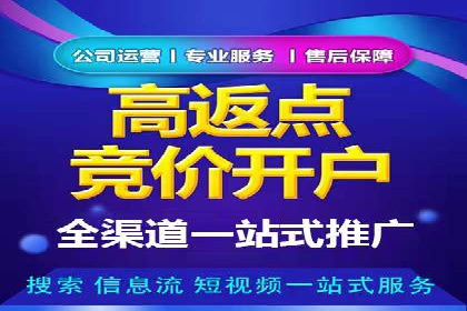 搜索引擎营销（SEM）的精准投放技巧案例